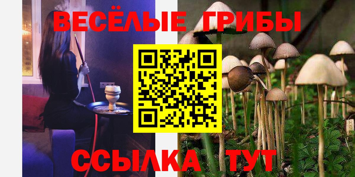 Конопля Касимов