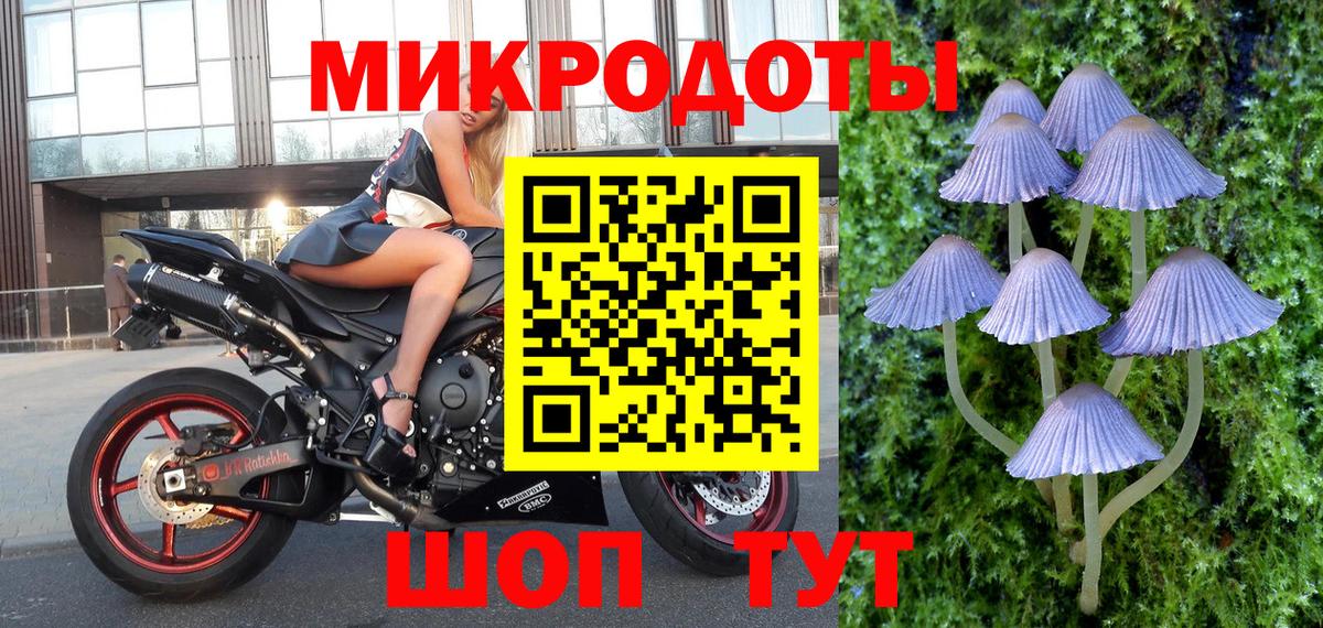 Галлюциногенные грибы мухоморы Касимов