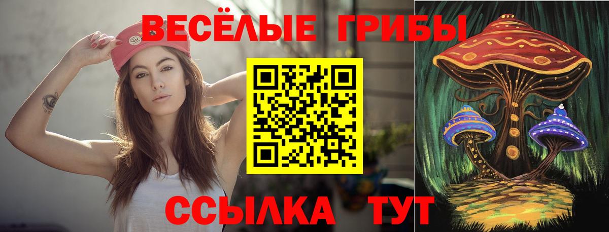 наркота  Вход с VPN  Касимов  Псилоцибиновые грибы мухоморы  Псилоцибиновые грибы GOLDEN TEACHER 